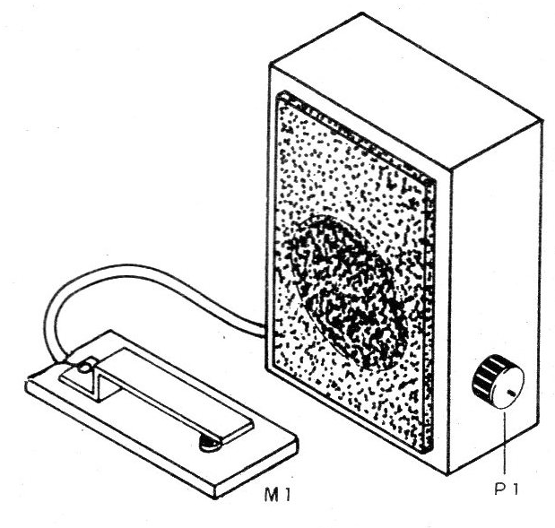 Figura 3 - Sugerencia de caja para el montaje
