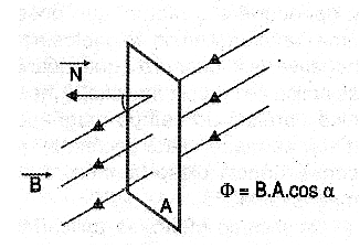 Figura 1 - Definición de flujo magnético.
