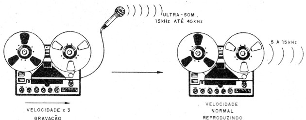 Figura 1 - Grabación de ultrasonidos
