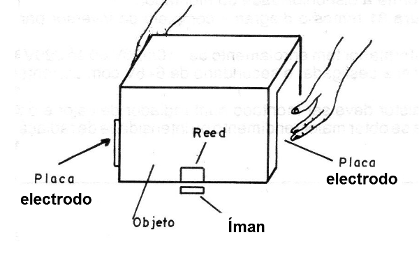Figura 3 - Posicionamiento de los electrodos
