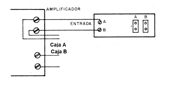    Figura 4 - Conexión al amplificador
