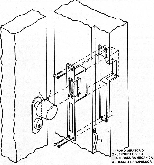 Figura 6 
