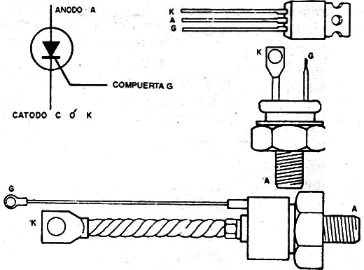 Figura 1
