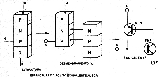 Figura 2
Figura 2