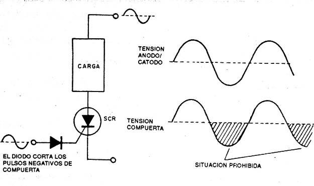 Figura 14
