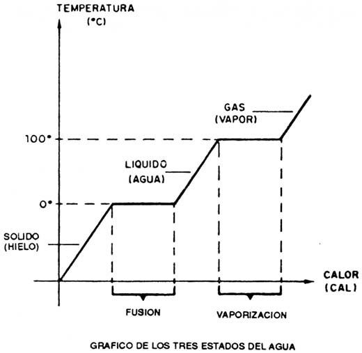 Figura 4
Figura 4