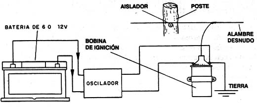 Figura 2
