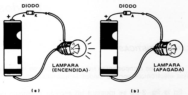 Figura 2 – polarización
