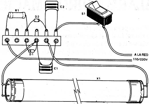 Figura 7
