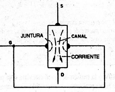 Figura 1
