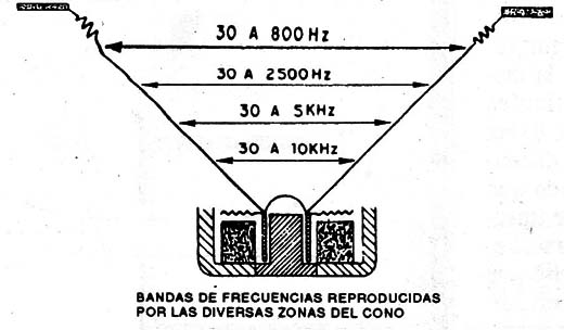 Figura 7
