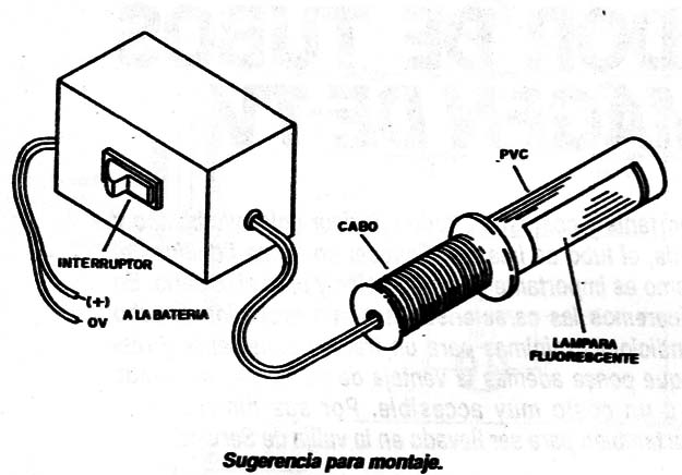 Figura 5
