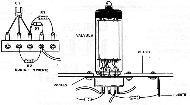 Figura 1
