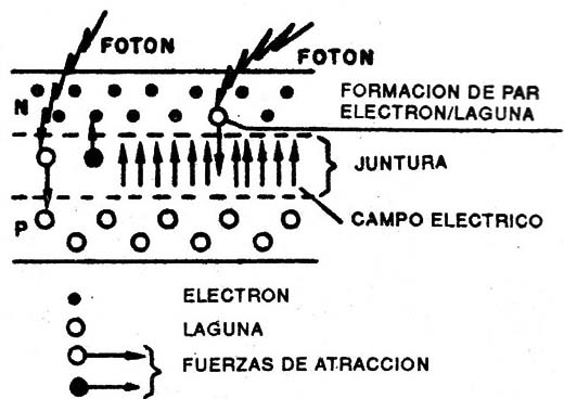Figura 6
Figura 6