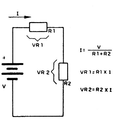 Figura 5
