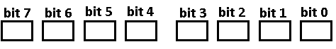 Figura 8. Un Byte
