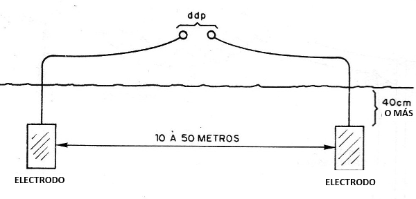 Figura 3
Figura 3