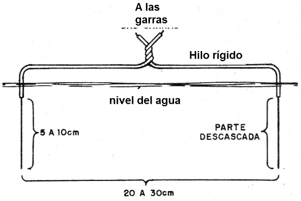 Figura 3 - Los electrodos
Figura 3 - Los electrodos