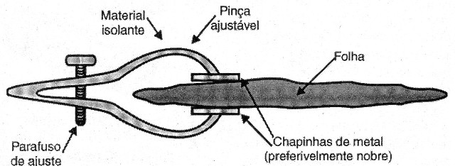 Figura 14 - Sensor de planta
