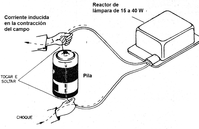Figura 8 - Visualización de la inducción
Figura 8 - Visualización de la inducción