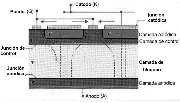 Figura 2 – Estructura del GTO
Figura 2 – Estructura del GTO