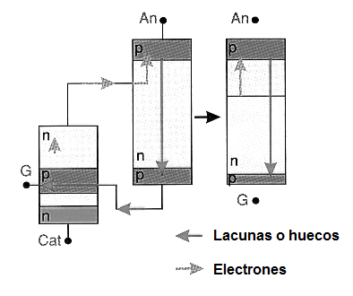 Figura 1 – Estructura IGCT
