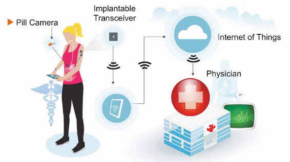 Figura 2 - Ejemplo de Freescale para aplicación
