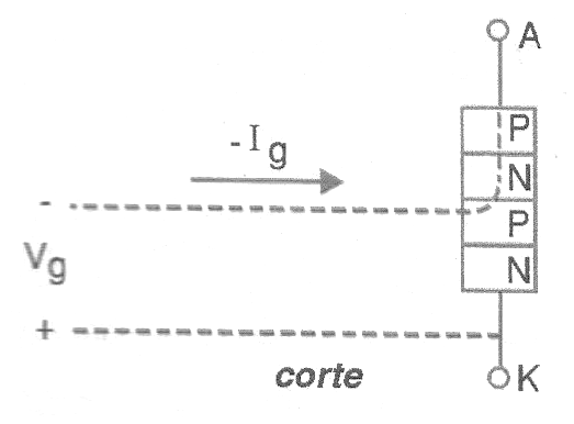                             Figura 2
