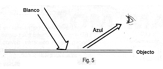 Figura 5
