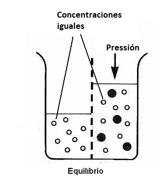 Figura 2 - Condición de equilibrio dada por la presión osmótica
Figura 2 - Condición de equilibrio dada por la presión osmótica