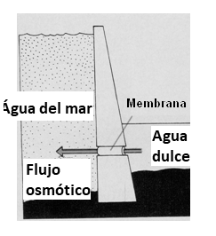 Figura 3
Figura 3