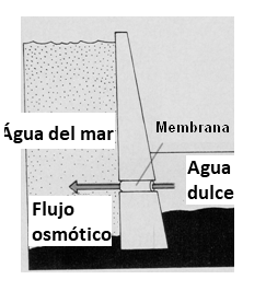 Figura 3
