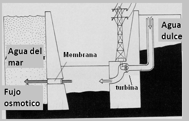 Figura 4
Figura 4