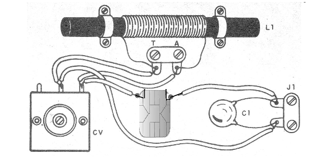 Figura 7
