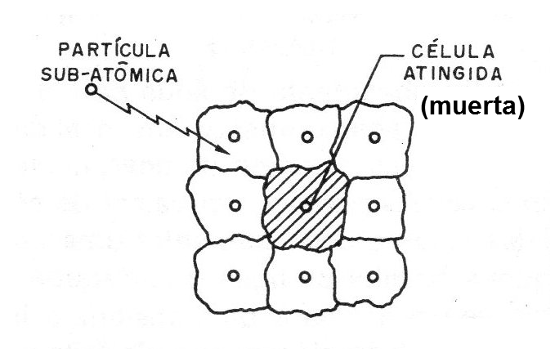 Figura 3 - Destrucción de las células
Figura 3 - Destrucción de las células