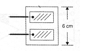 Figura 6 - Electrodos con planchas de pelos
