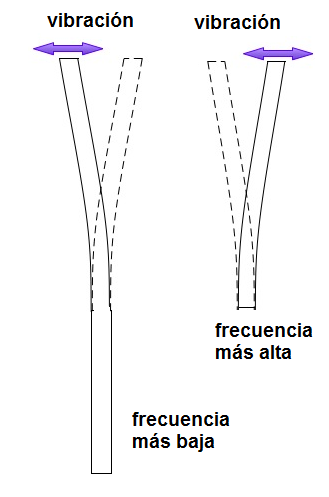    Figura 11- barras de diferentes longitudes vibran a diferentes frecuencias
