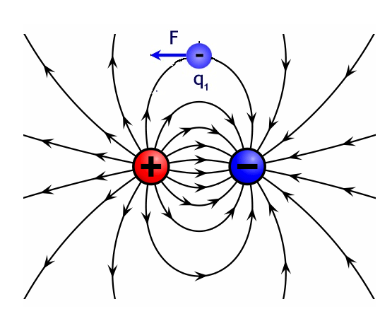 Figura 14 - Las cargas se mueven a lo largo de las líneas de fuerza del campo eléctrico
Figura 14 - Las cargas se mueven a lo largo de las líneas de fuerza del campo eléctrico