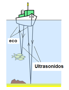 Figura 222 – El sonar del eco 
