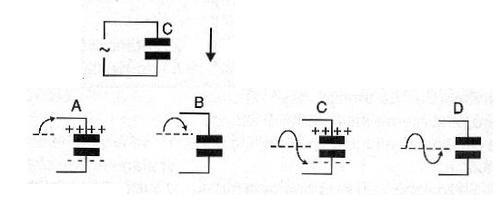 Figura 2
