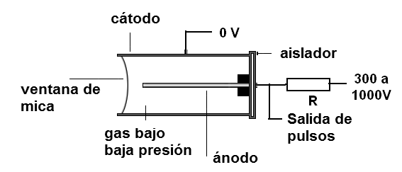 Figura 16 – Estructura de la válvula Geiger - Mujer
