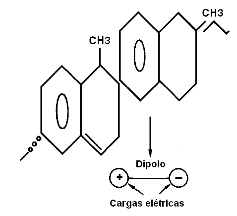 Figura 26 – Una molécula orgánica que forma un dipolo natural
Figura 26 – Una molécula orgánica que forma un dipolo natural