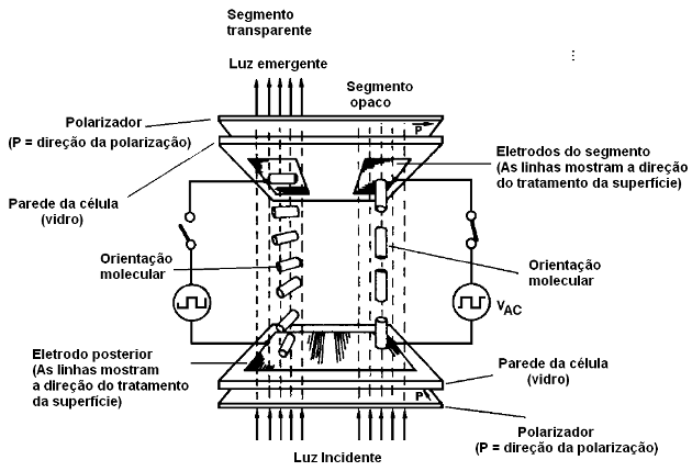 Figura 27 - Estructura de una pantalla de cristal líquido (Legenda en portugués como en el original)
