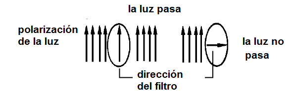 Figura 28 – La acción del polarizador
Figura 28 – La acción del polarizador