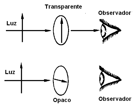 Figura 29 – Mirando a través de un filtro polarizador
