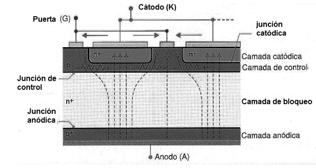 Figura 33 – Estructura GTO
Figura 33 – Estructura GTO