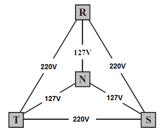 Figura 1 – Red en 220 V (Puede ser diferente conforme el país )
Figura 1 – Red en 220 V (Puede ser diferente conforme el país )