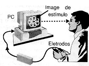 Biofeeback usando la computadora.
