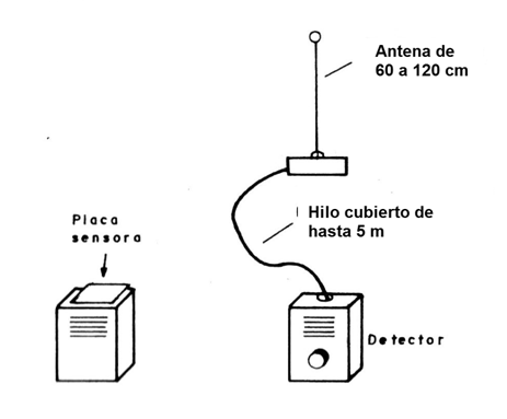 Figura 1
