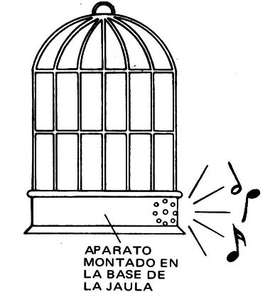 Figura 4
